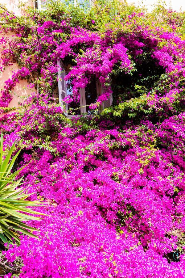 Orti 27 Garden Rome - Trastevere Eksteriør bilde